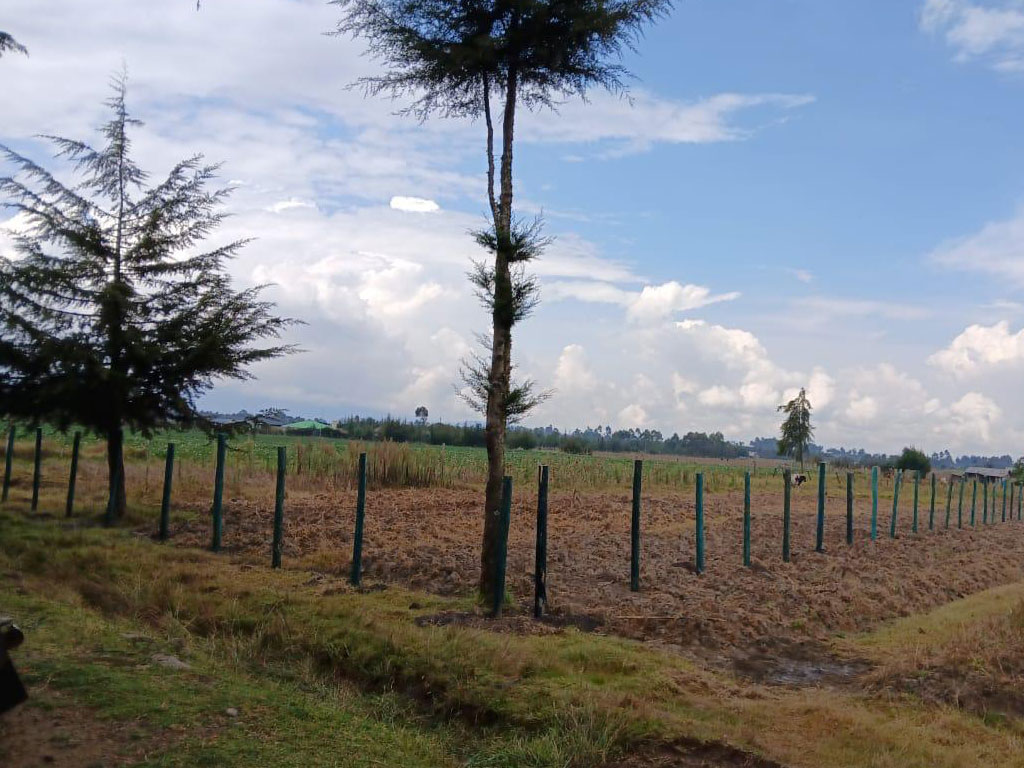 An image about 3/4 acre Nyahururu