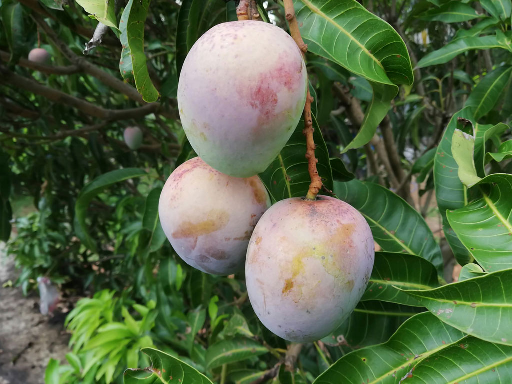 a picture to illustrate more about How to make money: abilities & innate capacities post